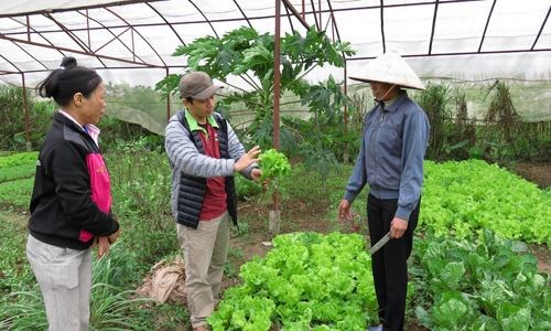 Nông nghiệp hữu cơ: Khó khăn trong kết nối người sản xuất (1/6/2016)